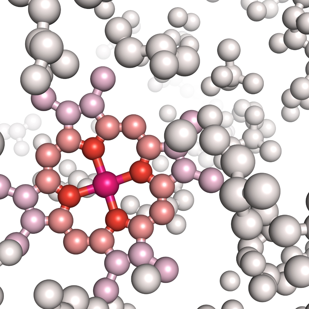 AMPK_mTOR_1080x1080 AMPK_mTOR_1080x1080