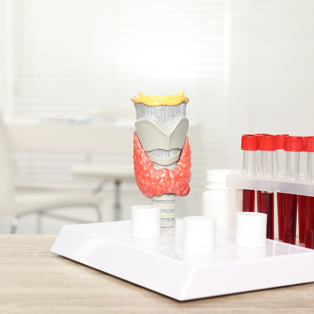 TSH_1080x1080 TSH_1080x1080