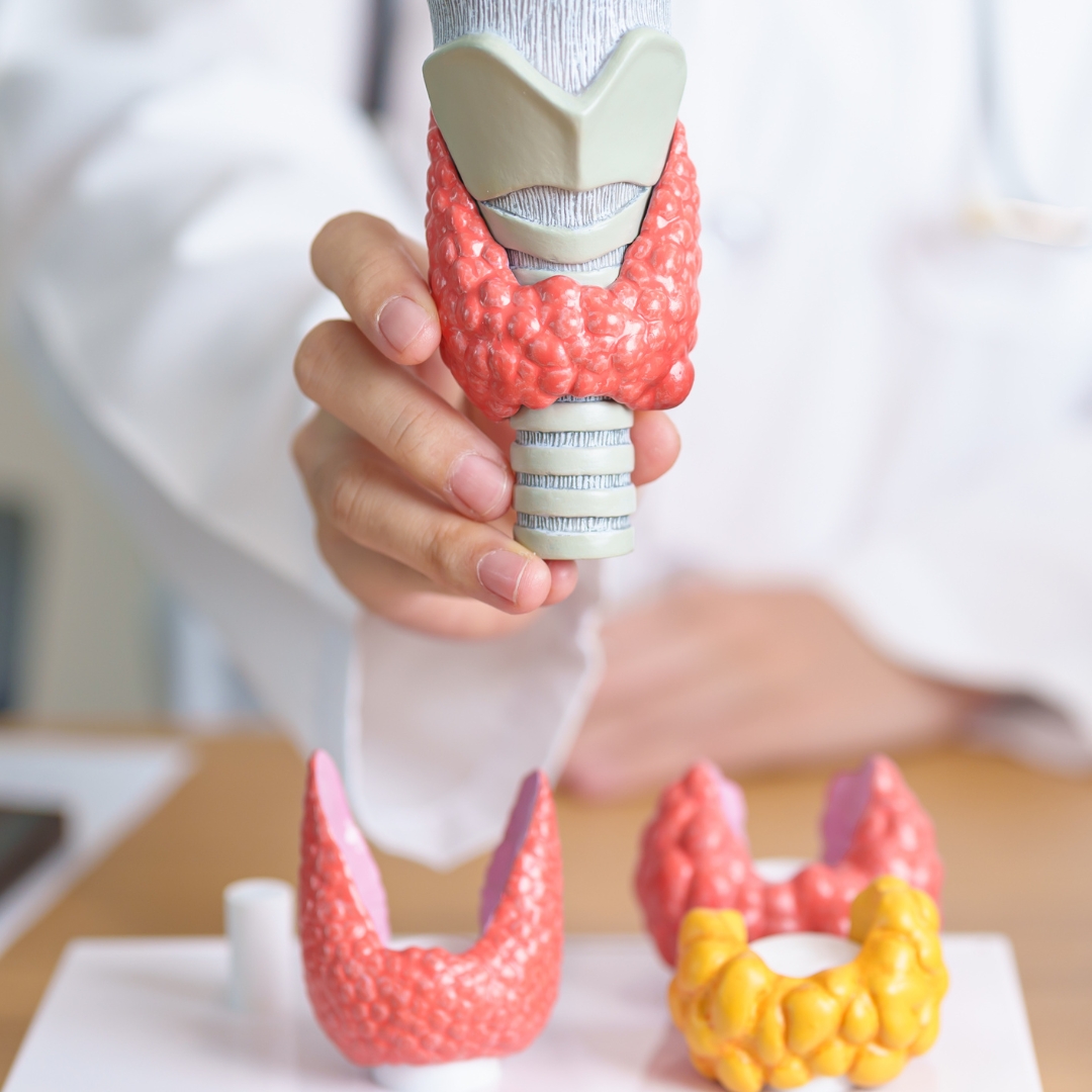 Schwerpunkt_SD_1080x1080 Schwerpunkt_SD_1080x1080